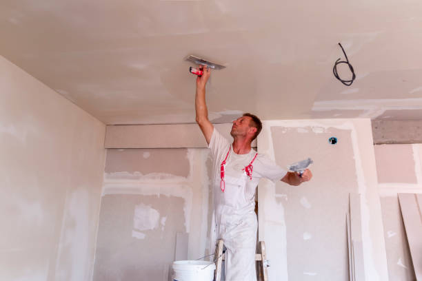 Best Wallpaper Removal and Painting  in Refugio, TX